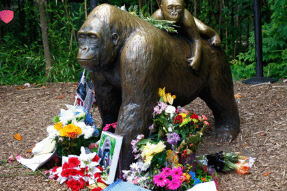 tierpfleger zoo leipzig gestorben